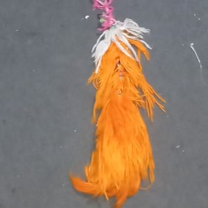 Orange Fox tail